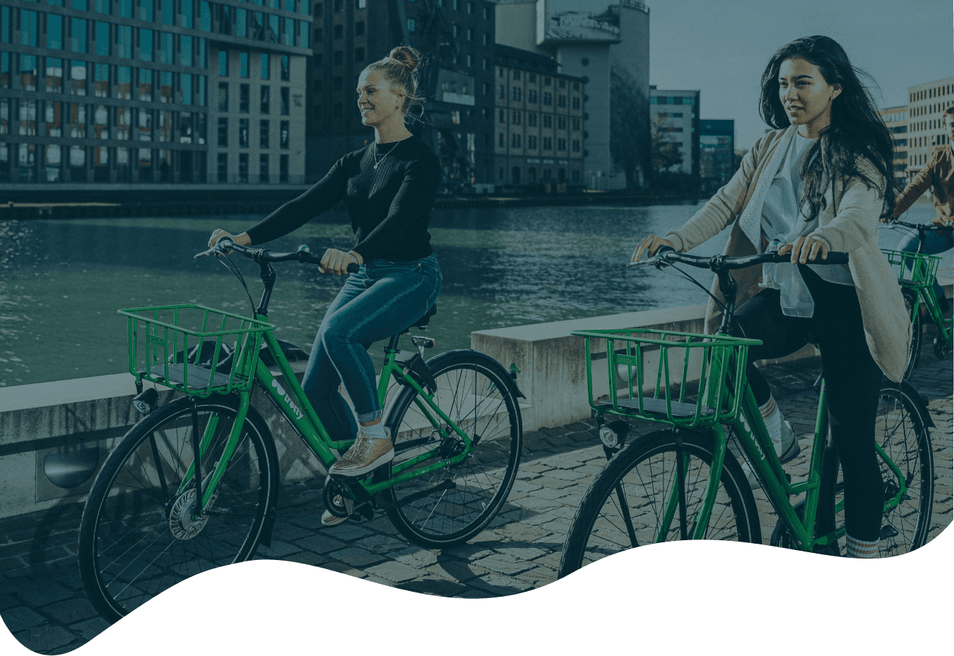 Transport categories that can be rented include bike, car, scooter, and more